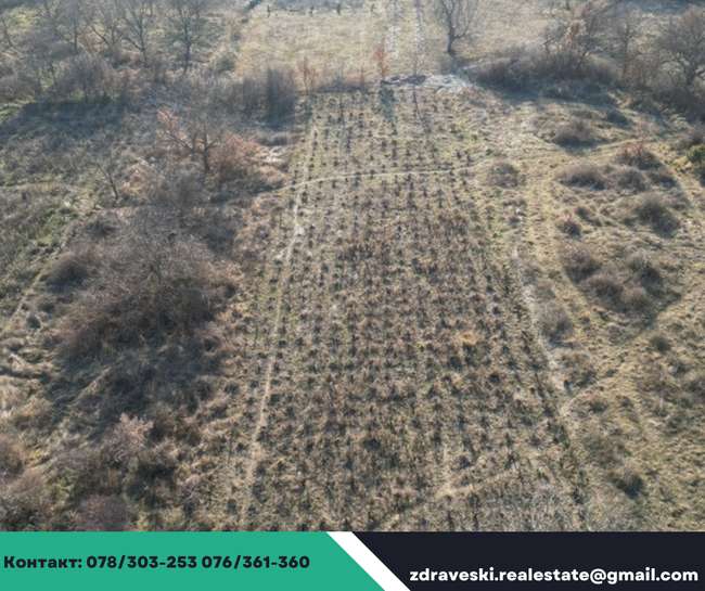 Parcela od 1703m2 vo Velgosti - ZDRAVESKI - slika 2